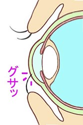 さかまつけま つけささる ゴタク並べ