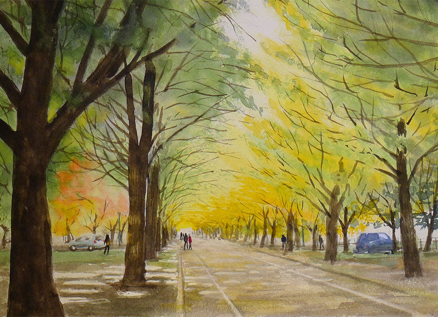 水彩画 北大のイチョウ並木 ゴタク並べ