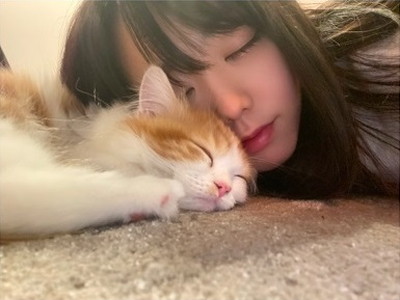 Akb48 一番可愛い写真はどれ キュン1グランプリ 千葉恵里の500枚のうちの厳選された1枚 柏木由紀の写真に宮崎美穂 ドン引きか可愛いかの2択 48ラジオトーク Akbラジオまとめ