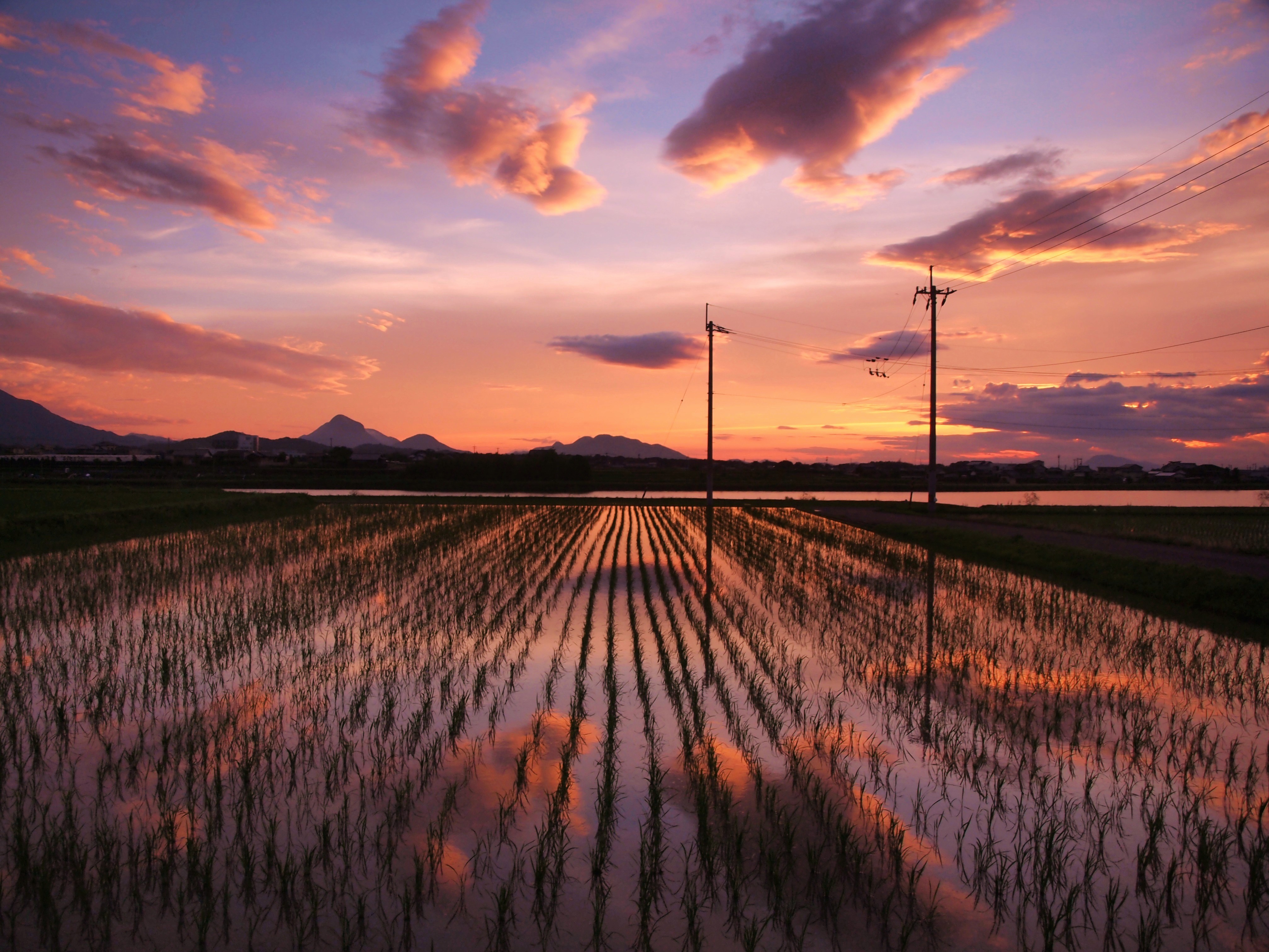 田舎らしい風景 田んぼと電信柱と茜雲 写し込み 情報発信をしよう ありふれた日常 Common Daily Life