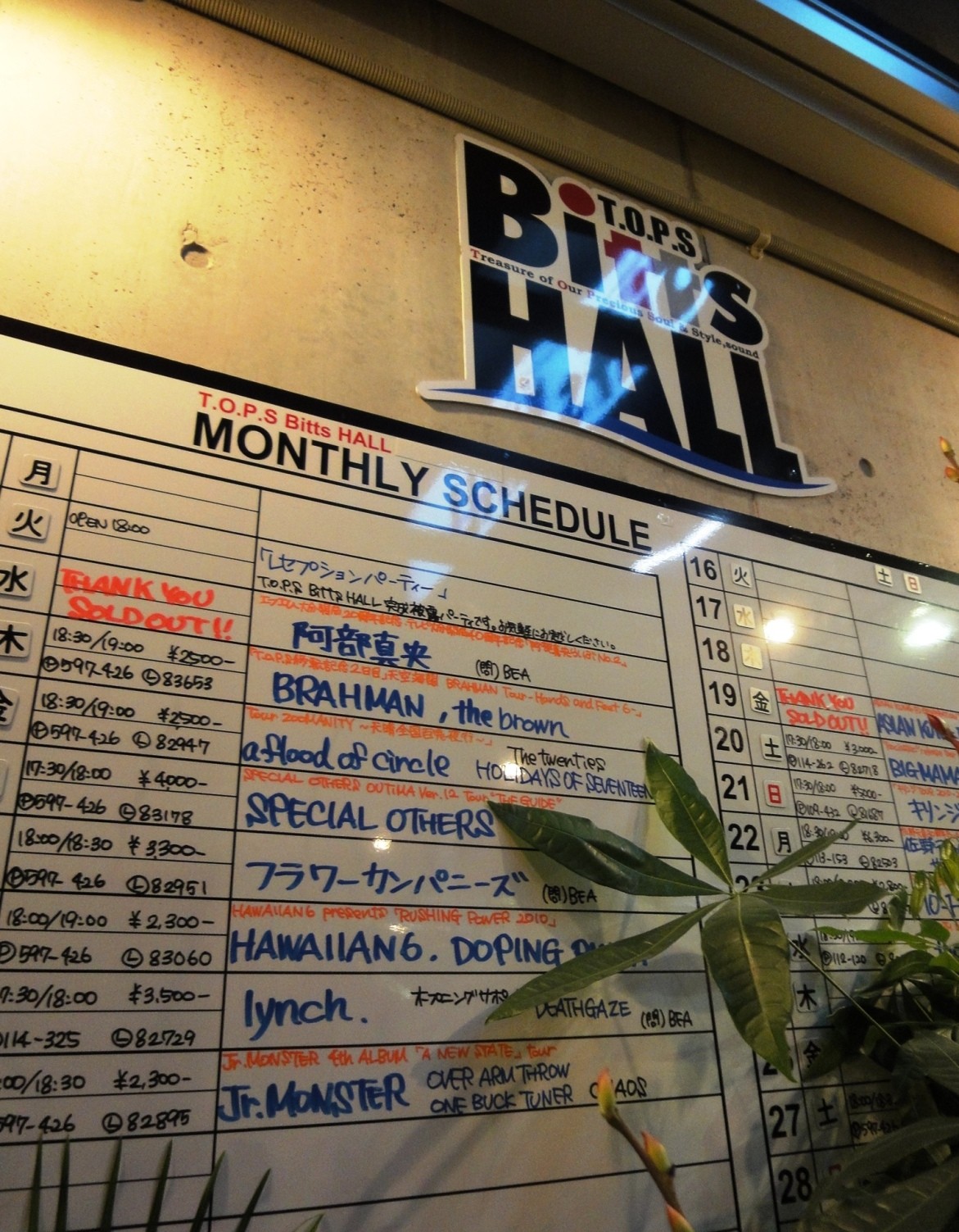 阿部真央らいぶno 2 西大分t O P S Bitts Hall Nave クボタヨシフミ ラジバカ