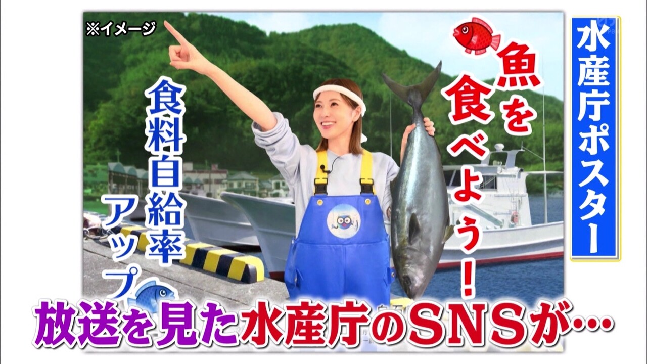元乃木坂46 白石麻衣 実況 世界一受けたい授業 可愛いまいやんが十分観れて満足 2ch坂道まとめアンテナ 元乃木坂46 白石麻衣 実況 世界一受けたい授業 可愛いまいやんが十分観れて満足 2ch坂道まとめアンテナ