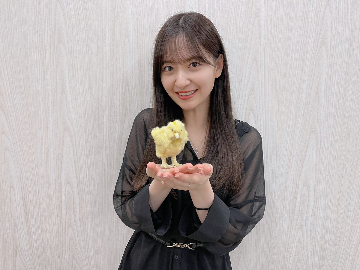 乃木坂46 遠藤さくら 金川紗耶 ひよこ あらかわいい らじらー Imareal 2ch坂道まとめアンテナ
