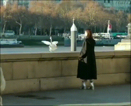 乃木坂46 齋藤飛鳥 アナザースカイ オフショット動画公開 ｍｃ後任期待しちゃうな 乃木坂46まとめ ラジオの時間