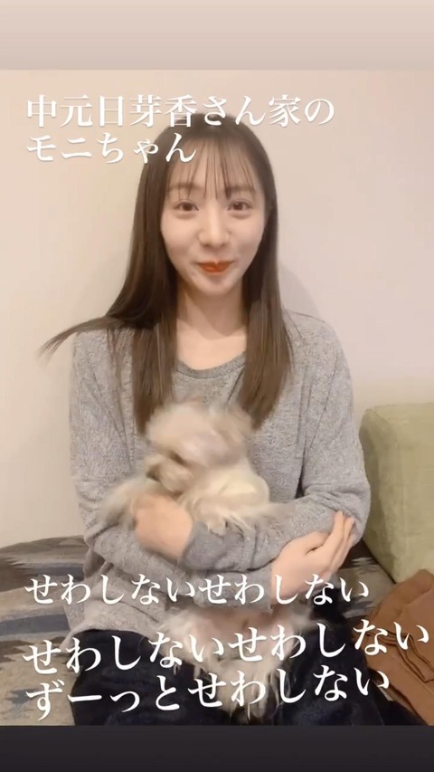 元乃木坂46 能條愛未 モニカ 動いてる姿見たら さらに面白かった Gif 中元日芽香 乃木坂46まとめ ラジオの時間 元乃木坂46 能條愛未 モニカ 動いてる姿見たら さらに面白かった Gif 中元日芽香 乃木坂46まとめ ラジオの時間