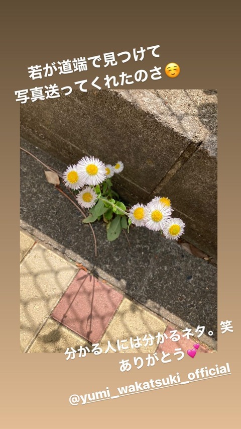 元乃木坂46 深川麻衣 若月佑美 エモーショナル 道端で見つけて送ってくれたのさ 乃木坂46まとめ ラジオの時間 元乃木坂46 深川麻衣 若月佑美 エモーショナル 道端で見つけて送ってくれたのさ 乃木坂46まとめ ラジオの時間