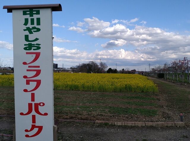 中川やしおフラワーパーク 埼玉県八潮市木曽根１００９ １ 月の光 舞う雪花 かなのブログ
