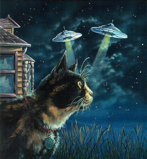 catufo