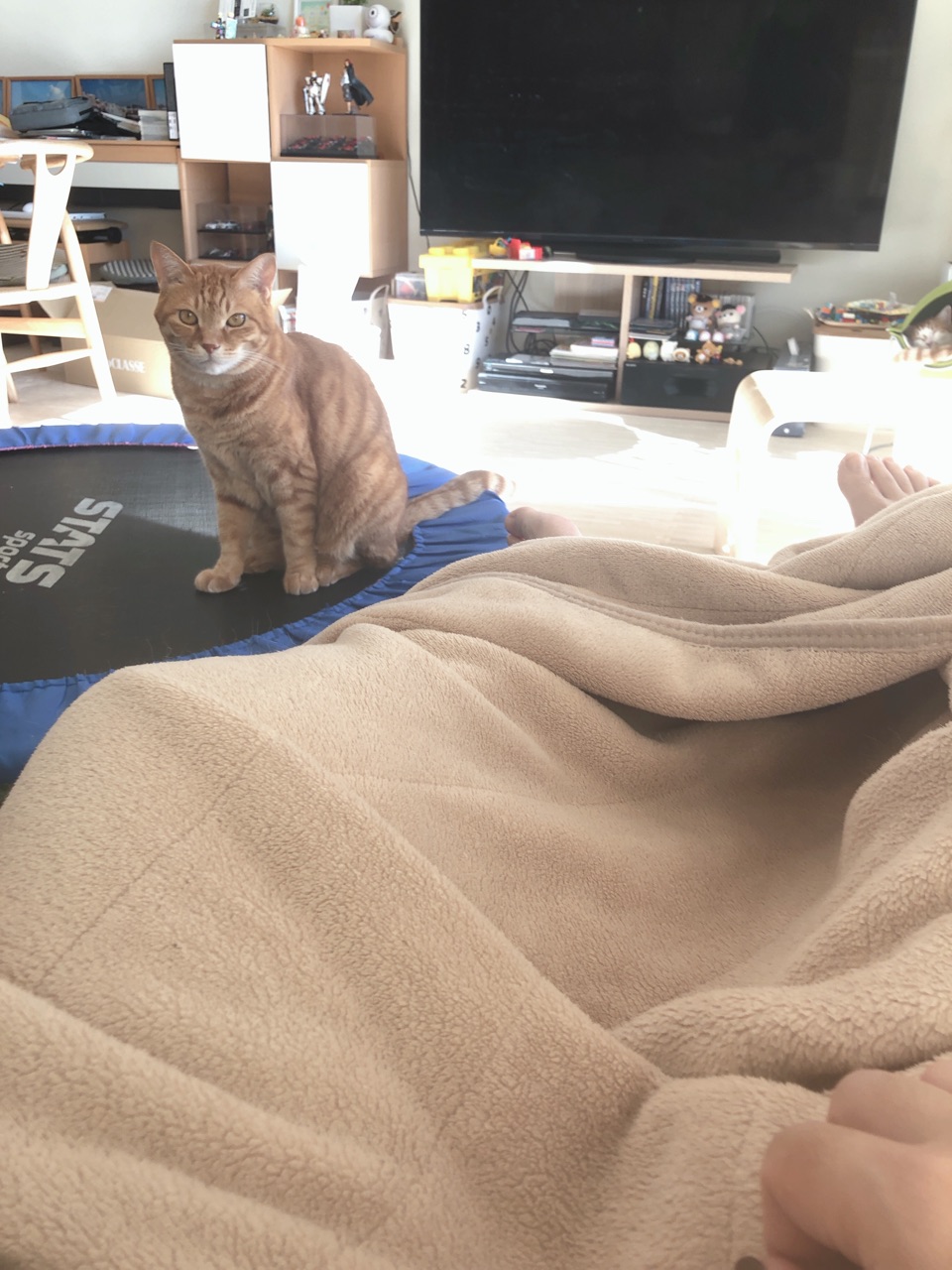 もったいぶる猫 Happy End のその後 Powered By ライブドアブログ