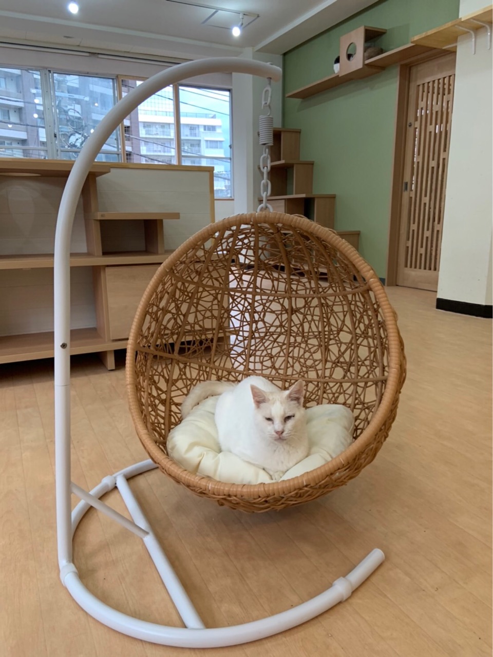 猫グッズ答え Happy End のその後 Powered By ライブドアブログ