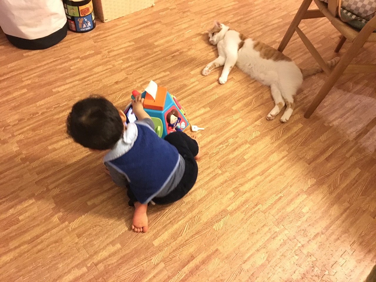 近況報告 猫と子供の関係 Happy End のその後 Powered By ライブドアブログ 近況報告 猫と子供の関係 Happy End のその後 Powered By ライブドアブログ
