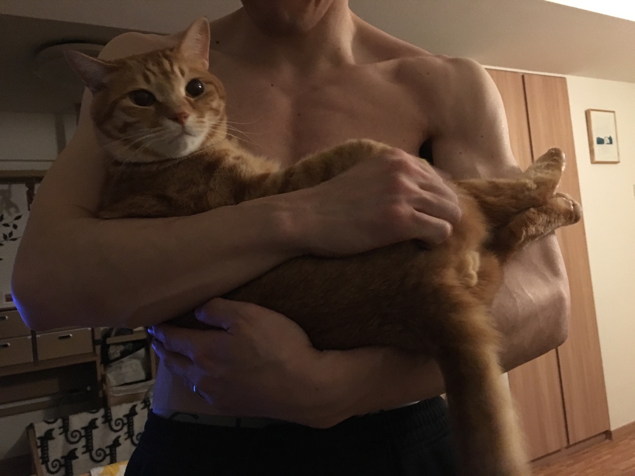 男のハダカ 猫 Happy End のその後 Powered By ライブドアブログ