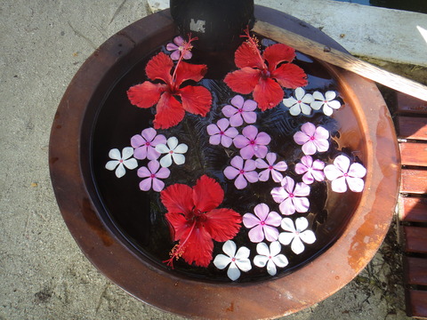 DSC04360