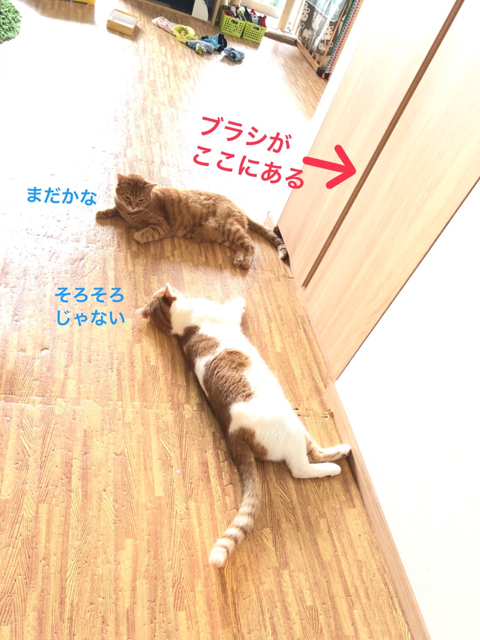 毎朝 待ってる猫 Happy End のその後 Powered By ライブドアブログ