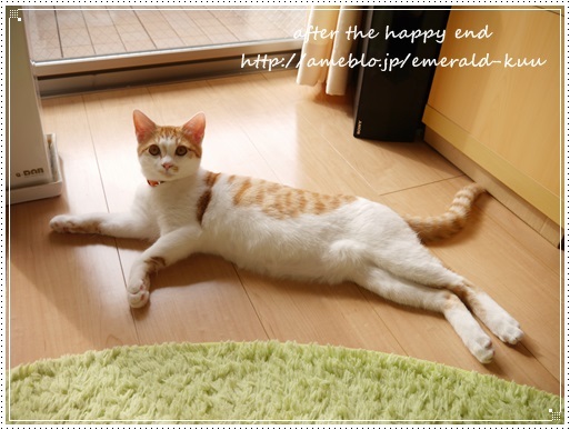 猫の平均体重はどれくらい Happy End のその後 Powered By ライブドアブログ 猫の平均体重はどれくらい Happy End のその後 Powered By ライブドアブログ