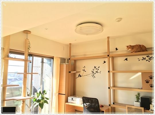 夢ふくらむキャットウォークの世界 Happy End のその後 Powered By ライブドアブログ 夢ふくらむキャットウォークの世界 Happy End のその後 Powered By ライブドアブログ