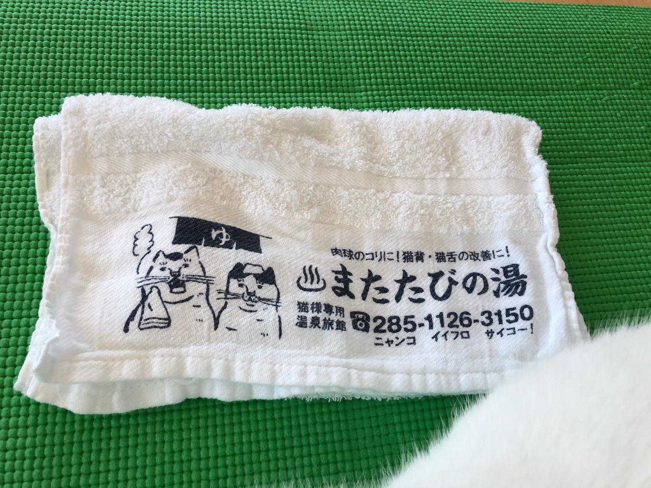 猫式ヨガとマッシュ ｂセットのアジフライに唐揚げ２個トッピングで玄米ハーフ ジンジャーエール辛口と伊藤理佐 Happy End のその後 Powered By ライブドアブログ