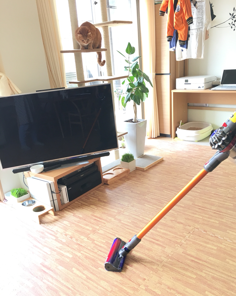 新しいダイソンは猫砂を攻略した Happy End のその後 Powered By ライブドアブログ 新しいダイソンは猫砂を攻略した Happy End のその後 Powered By ライブドアブログ