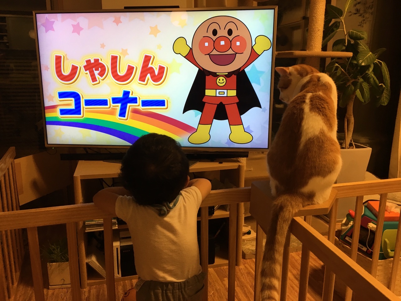 猫と子供とアンパンマン Happy End のその後 Powered By ライブドアブログ 猫と子供とアンパンマン Happy End のその後 Powered By ライブドアブログ