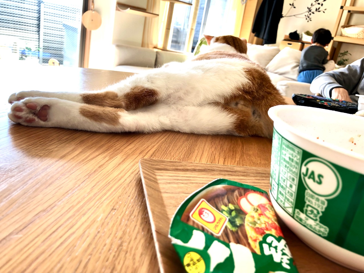 おうち猫カフェ 緑のたぬき Happy End のその後 Powered By ライブドアブログ