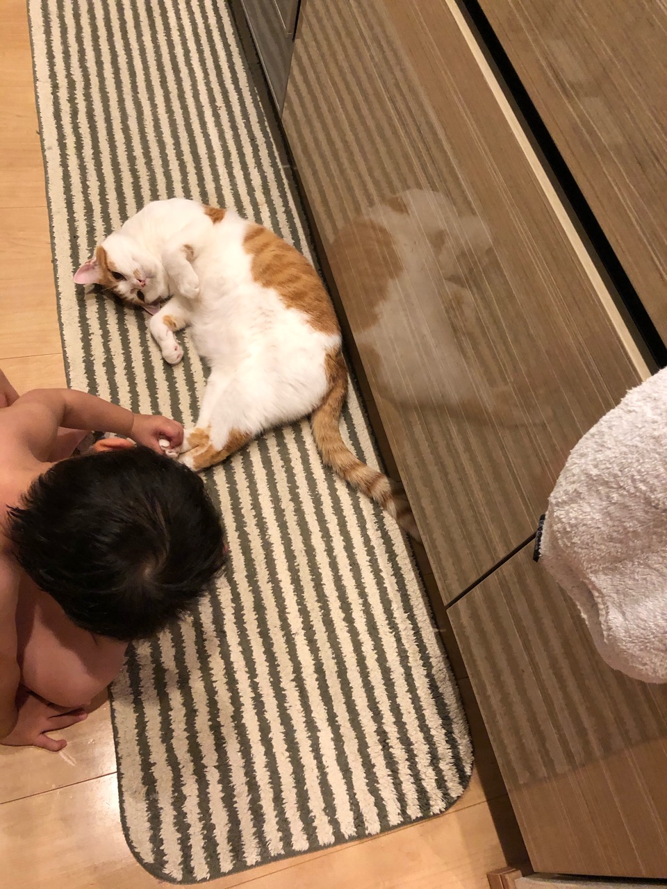 猫とスッポンポン Happy End のその後 Powered By ライブドアブログ