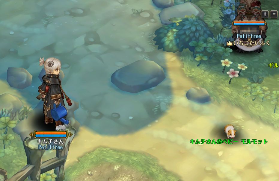 念願のモルモット ずっと遊んでいたい人の日記