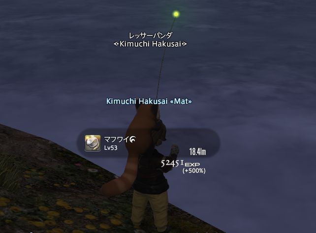 雲海釣りへ ずっと遊んでいたい人の日記