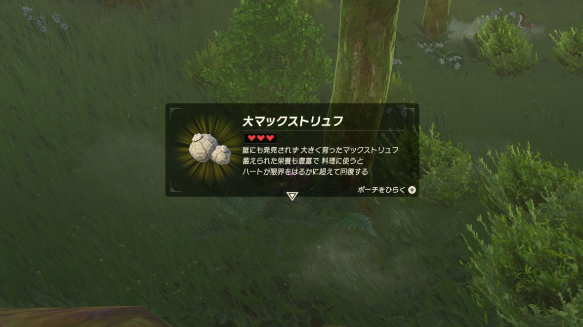 盾サーフィン ずっと遊んでいたい人の日記