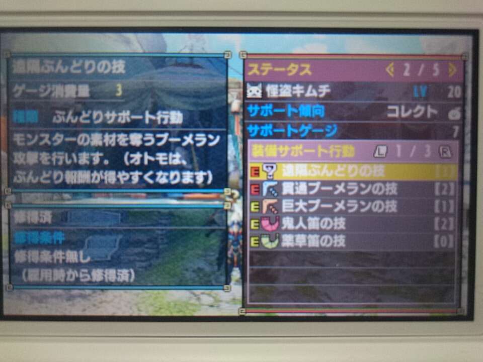 ブーメラン特化猫 ずっと遊んでいたい人の日記 ブーメラン特化猫 ずっと遊んでいたい人の日記