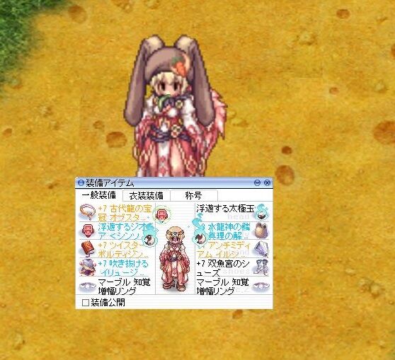 現在のソーサラー装備 職パッケから今までの変更履歴付 Roに復帰しちゃった人の日記