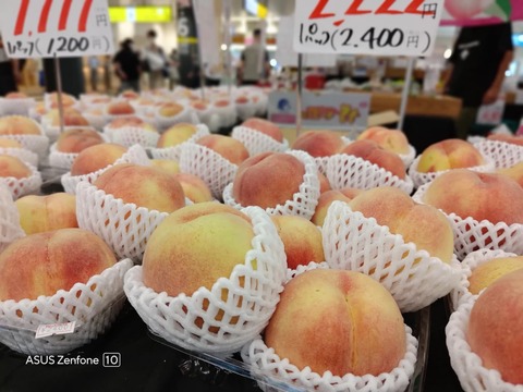 kicanetsu_zenfone10_005