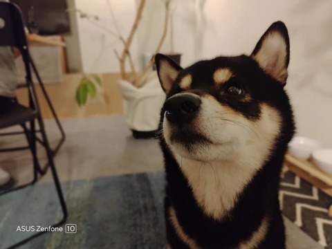 kicanetsu_zenfone10_003