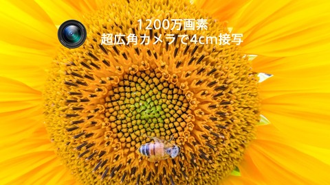 Zenfone 8 カメラ機能 (2)