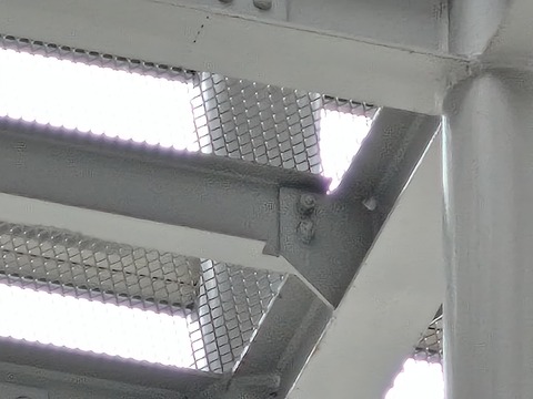 Zenfone 12 Ultraで撮影 (3)