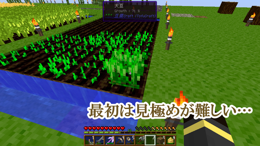 竹mod 豆腐craft 2 福豆と枝豆 四角い世界の永久初心者