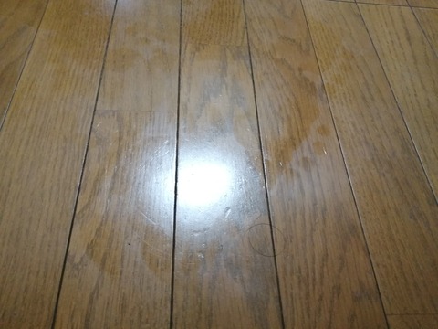 IMG_20240517_211336