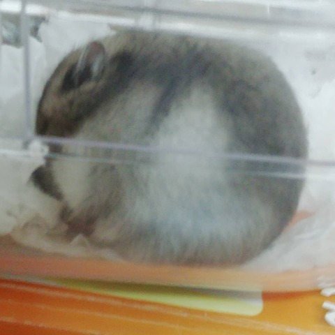 IMG_20201230_102426_997