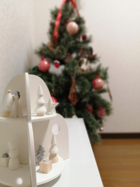 IMG_20241221_192717