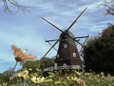 IMG_20241031_100304