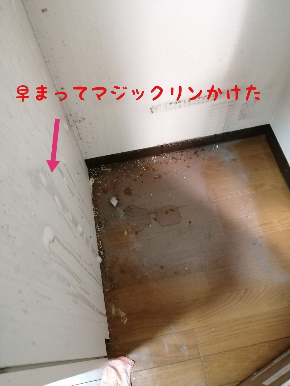 冷蔵庫ウラ 調整脚のネジが回らなくて10年放置した結果 37平米に3人暮らし