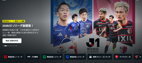スクリーンショット (30)