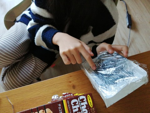 IMG_20241103_103319_1