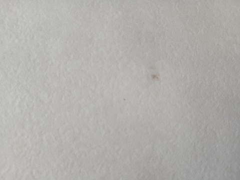 3203