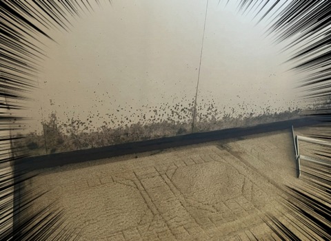 25-07-18-13-48-49-407_deco