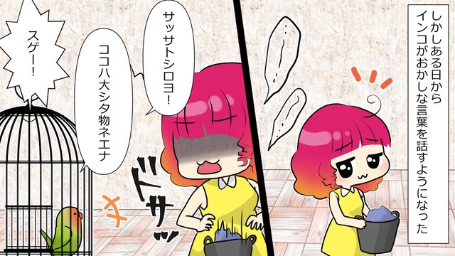 友人から預かっているインコが突然変な言葉を喋るようになった インコ ヒヒヒヒヒwwww 私 この笑い方 小姑の子供と一緒だ ライコミちゃん Powered By ライブドアブログ 友人から預かっているインコが突然変な言葉を喋るようになった インコ ヒヒヒヒヒwwww 私 この笑い方 小姑の子供と一緒だ ライコミちゃん Powered By ライブドアブログ