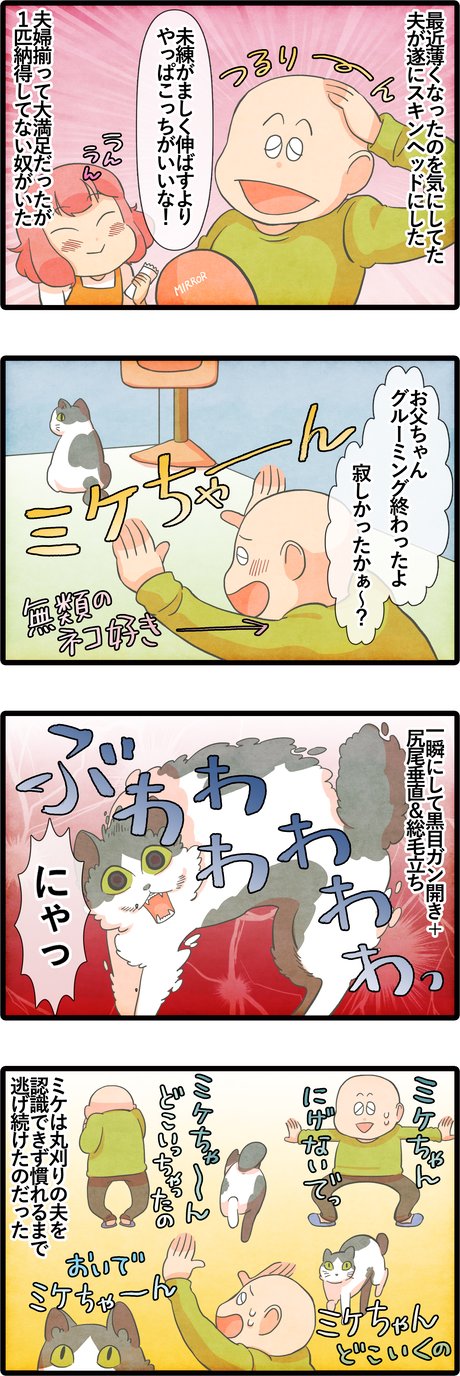 全体図