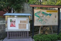 DSC_0257_R