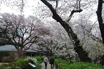 DSC_3080 - コピー_R