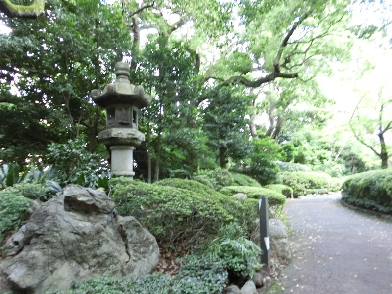 CIMG9838_R