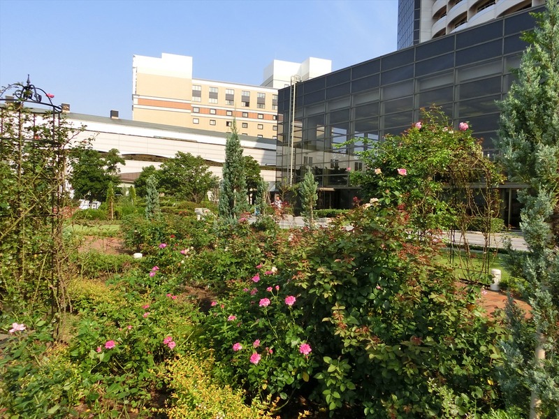 CIMG0290_R